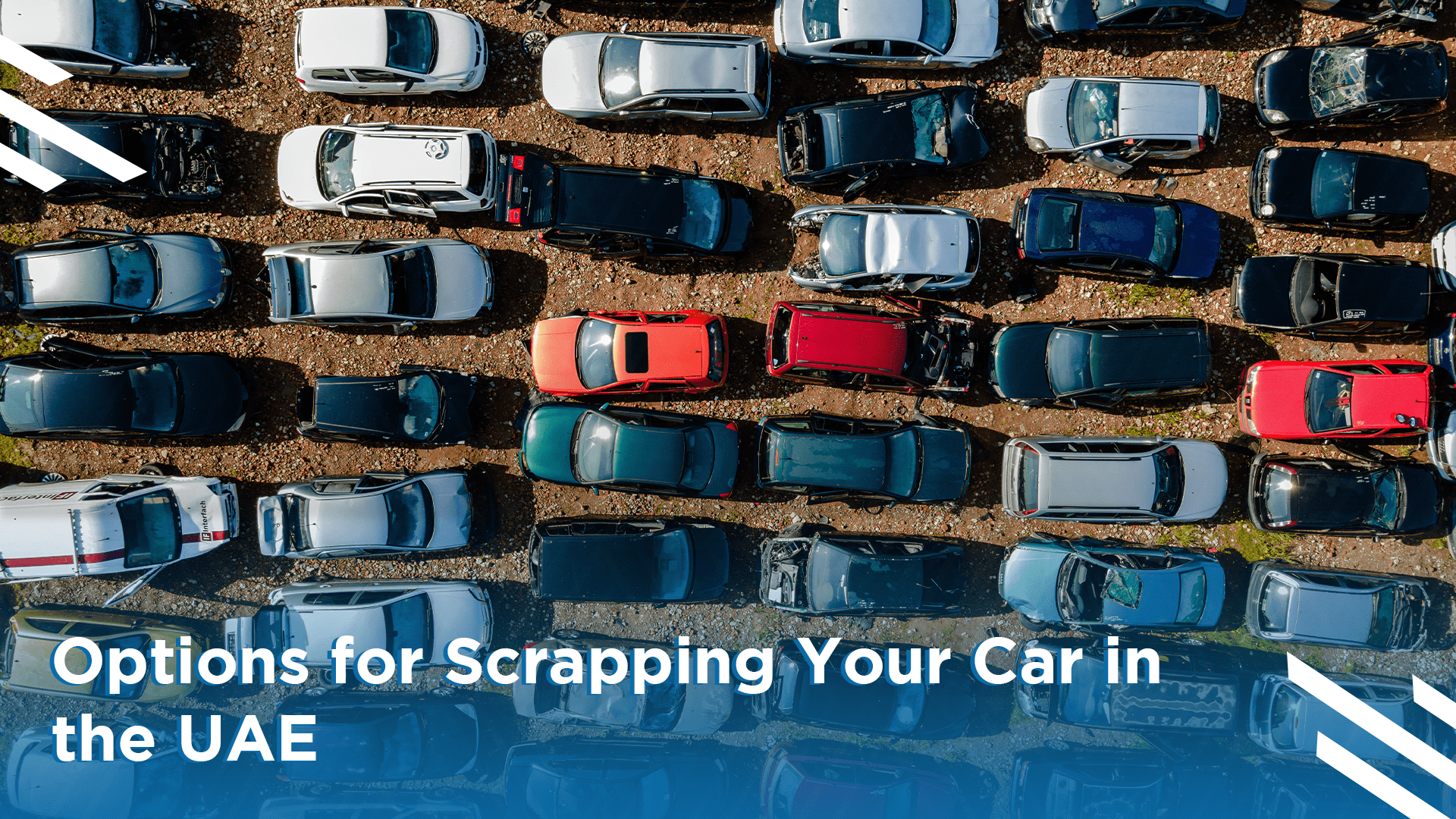 Where Can I Sell My Car for Scrap in The UAE? Sell Your Motors Blog